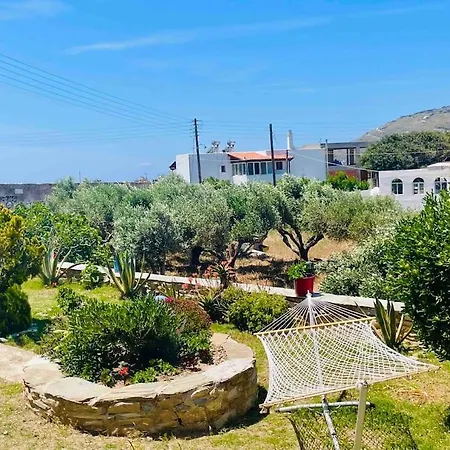 Daire Goatandros Cozy Studio Apartment In Gavrio