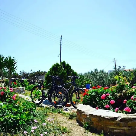 Apartament Goatandros Cozy Studio Apartment In Gavrio *
