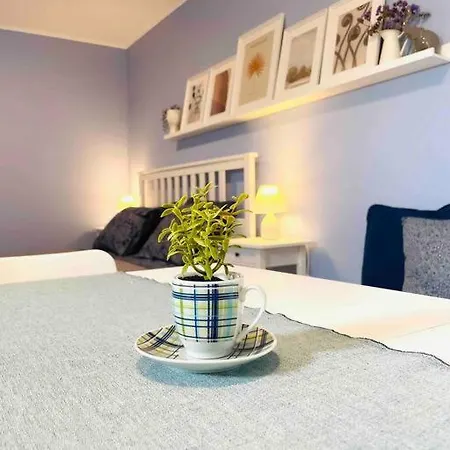 Goatandros Cozy Studio Apartment In Gavrio Gavrio